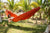 Hammock Universe Hammocks Colombian Double Hammock