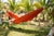 Colombian Double Hammock with Universal Hammock Stand - Hammock Universe USA