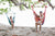 Hammock Universe Hammock Chairs Brazilian Hammock Chair