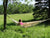 Hammock Universe Hammocks Brazilian Style Double Hammock